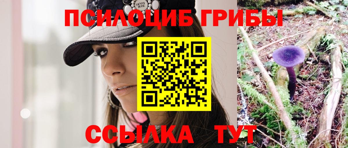 Галлюциногенные грибы Psilocybe  Псилоцибиновые грибы Cubensis  Нижнеудинск  Вход с VPN 