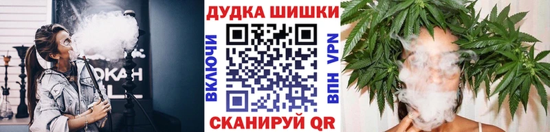 Канабис SATIVA & INDICA  как найти наркотики  omg ССЫЛКА  Нижнеудинск 